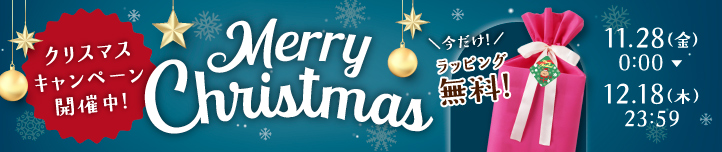 クリスマスキャンペーン開催中!>>